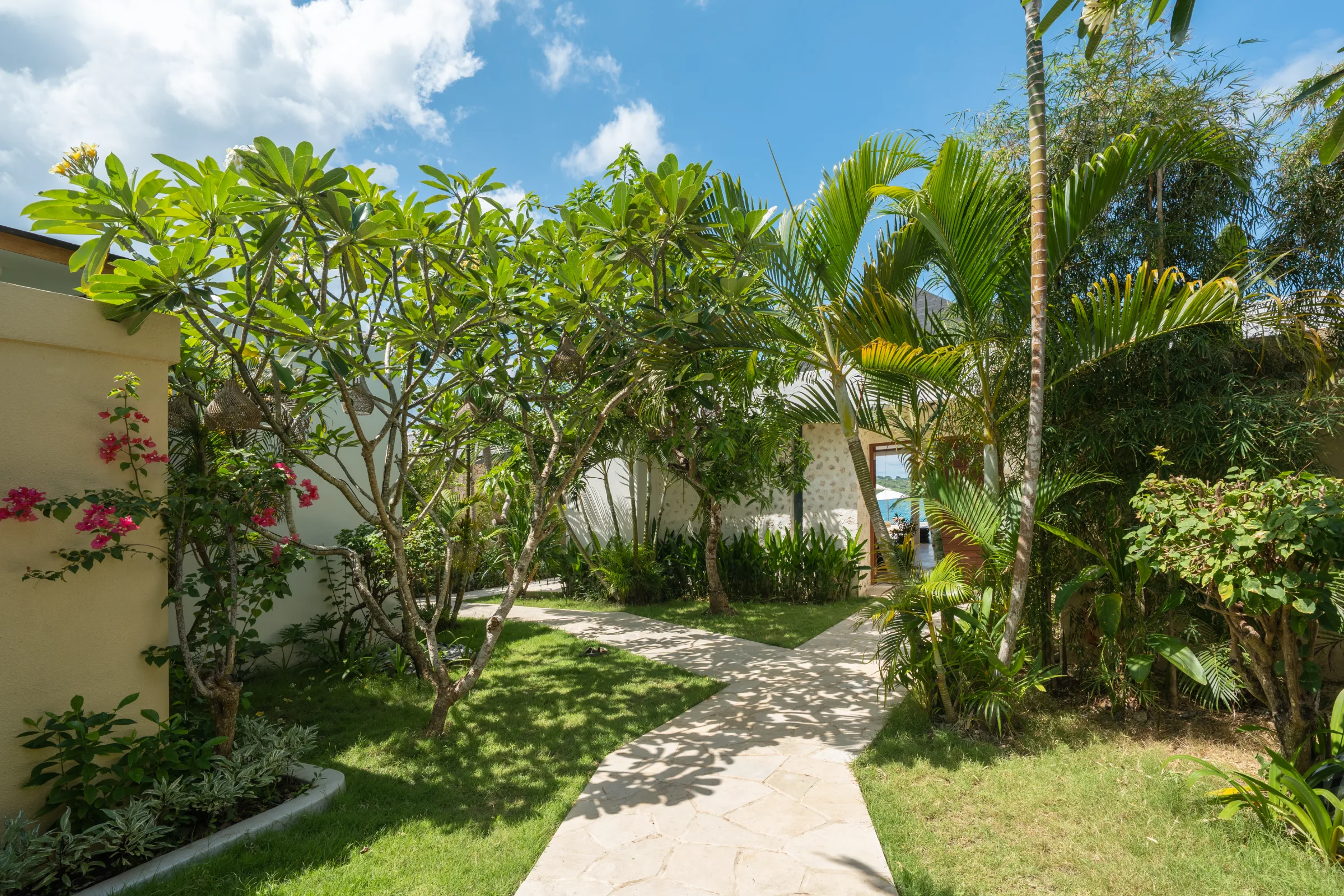 Garden path through tropical planting