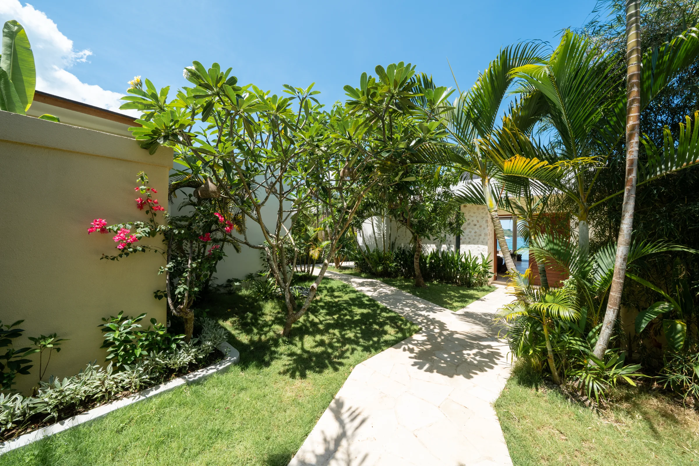 Garden path with blossom and palms leading to the villa